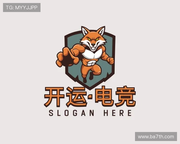 介绍云开电竞app官方网站入口